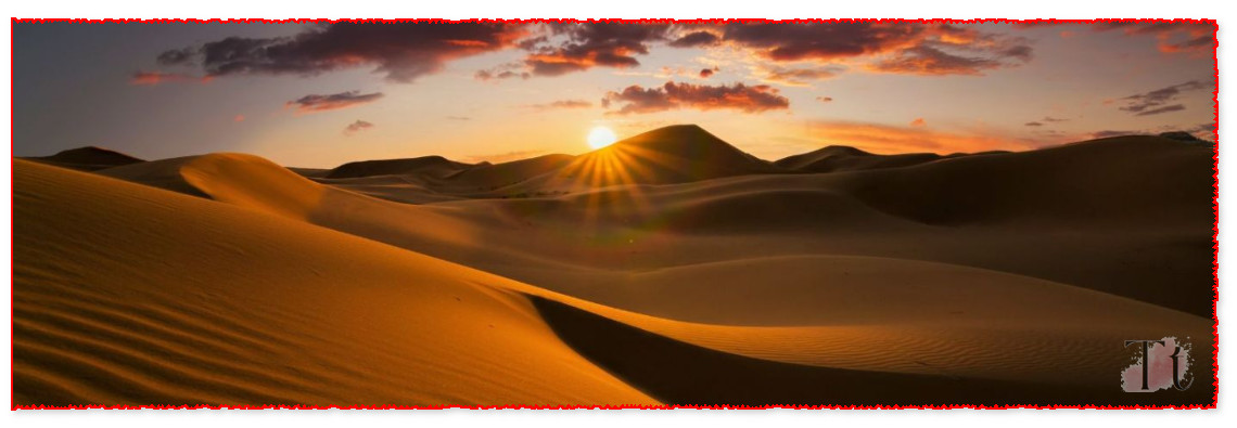 Unveiling the Majesty of the Sahara: Discovering Fascinating Facts:2024