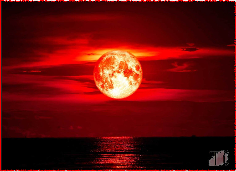 Strawberry Moon's Enchanting 2024 Spectacular Phenomenon